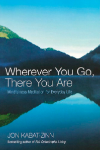 Wherever You Go, There You Are by Jon Kabat-Zinn (Piatkus Books)